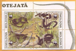 1993 Moldova Moldavie, Fauna, Snakes, Nature, WWF, 4v Mint - Schlangen