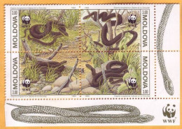 1993 Moldova Moldavie, Fauna, Snakes, Nature, WWF, 4v Mint - Slangen