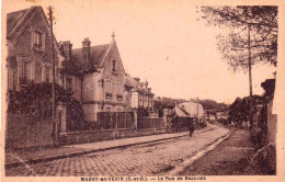 95 - Val D Oise - MAGNY En VEXIN - La Rue De Beauvais - Magny En Vexin