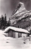 73 - Savoie -  PRALOGNAN La VANOISE -  La Cholliere - Pointe Du Grand Marchet - Pralognan-la-Vanoise