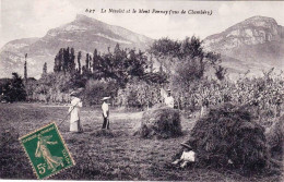 73 - Savoie - Le Nivolet Et Le Mont Pennay Vus De CHAMBERY - Agriculture - Ramassage Des Foins - Chambery