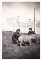 Photo Originale -militaria-guerre Maroc -1942- CASABLANCA -batterie El Hank - Le Parc Aux Cochons - Krieg, Militär