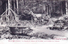 88 - Vosges - SAINT-DIE - La Cascade Et L Etang Des Molieres, Sur Le Massif De L'Ormont - Saint Die
