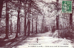 77 - Seine Et Marne -  BY- THOMERY- Entrée De La Foret De Fontainebleau - Autres & Non Classés