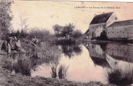 77 - Seine Et Marne -  Lumigny-Nesles-Ormeaux - La Ferme De La Ville Du Bois - Altri & Non Classificati
