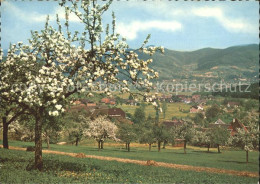 72182470 Strohbach  Strohbach - Autres & Non Classés