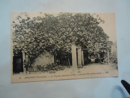 FRANCE   POSTCARDS   PORNIGHET - Other & Unclassified