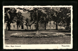 AK Rehau /Bayer. Ostmark., Maxplatz Mit Springbrunnen  - Rehau