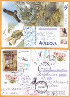 2011, 2013, Stamps Used, To Moldova, Postcrossing, Israel, China, Fauna, Eagle, Turtle, Flora, Flowers - Moldavie