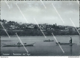 Bu423 Cartolina Viverone Panorama Dal Lago Provincia Di Biella Piemonte - Biella