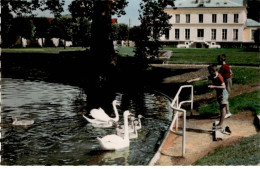 VIRY-CHATILLON: Le Parc André-leblanc, Le Cygnes - Très Bon état - Viry-Châtillon