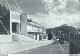 Bu441 Cartolina Pieve Di Cadore Il Teatro Provincia Di Belluno Veneto - Belluno