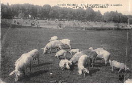 Une Heureuse Famille En Excursion Au PLA De CAMBRAS D'ORZES - Très Bon état - Otros & Sin Clasificación