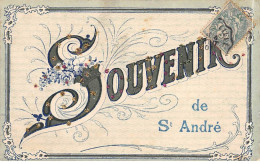 Souvenir De SAINT ANDRE - Très Bon état - Other & Unclassified