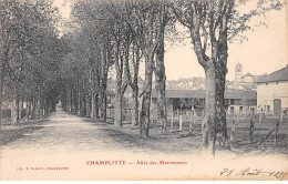 CHAMPLITTE - Allée Des Marronniers - Très Bon état - Champlitte