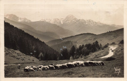 65-COL D ASPIN-N°T5316-D/0153 - Autres & Non Classés