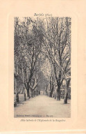 BARJOLS - Allée Latérale De L'Esplanade De La Rouguière - Très Bon état - Barjols