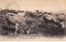 Haute Savoie - Un Troupeau Sur La Montagne - état - Otros & Sin Clasificación