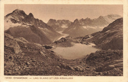 74-CHAMONIX-N°T5317-B/0395 - Chamonix-Mont-Blanc