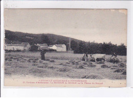 Environ D'ARDOUANE: La Moisson Du Seigle Sur Le Plateau Du Saumail - état - Sonstige & Ohne Zuordnung