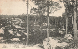 77-FONTAINEBLEAU LA FORET-N°T5317-C/0025 - Fontainebleau