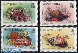 Montserrat 1984 Marine Life 4v, Mint NH, Nature - Shells & Crustaceans - Mundo Aquatico