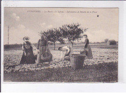 PITHIVIERS: La Récolte Du Safran, Safranières Et Récolte De La Fleur - Très Bon état - Pithiviers