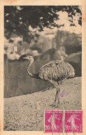 75-PARIS MUSEUM NATIONAL D HISTOIRE NATURELLE-N°T5317-G/0395 - Museen