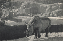 75-PARIS MUSEUM NATIONAL D HISTOIRE NATURELLE-N°T5317-G/0375 - Musées