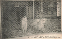 75-PARIS JARDIN DES PLANTES-N°T5317-G/0357 - Parques, Jardines