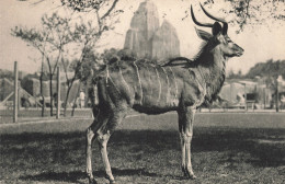 75-PARIS MUSEUM NATIONAL D HISTOIRE NATURELLE-N°T5317-G/0361 - Musées