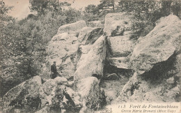 77-FONTAINEBLEAU LA FORET-N°T5317-E/0355 - Fontainebleau