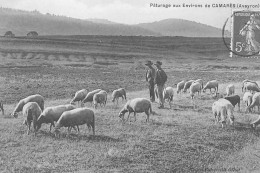 CAMARES : Pâturage Aux Environs De Camares - Tres Bon Etat - Otros & Sin Clasificación