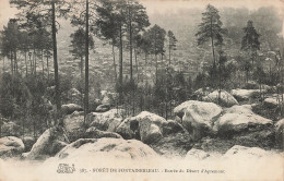 77-FONTAINEBLEAU LA FORET-N°T5318-B/0165 - Fontainebleau