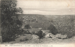 77-FONTAINEBLEAU LA FORET-N°T5318-B/0161 - Fontainebleau