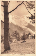 74-CHAMONIX-N°T5317-H/0351 - Chamonix-Mont-Blanc