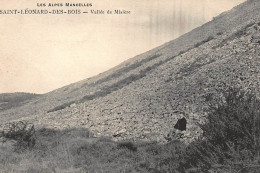 SAINT-LEONARD-des-BOIS : Vallée De Misière - Tres Bon Etat - Saint Leonard Des Bois