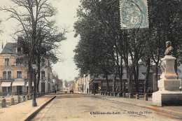 CHATEAU-du-LOIR : Avenue Du Mans - Tres Bon Etat - Chateau Du Loir
