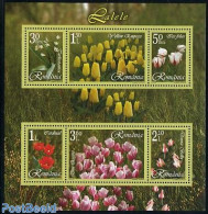 Romania 2006 Flowers S/s, Mint NH, Nature - Flowers & Plants - Nuevos