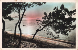 33-ARCACHON-N°T5318-D/0233 - Arcachon