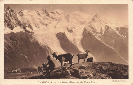 74-CHAMONIX-N°T5318-D/0065 - Chamonix-Mont-Blanc