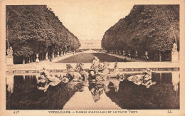 78-VERSAILLES BASSIN D APOLLON-N°T5318-D/0069 - Versailles (Château)