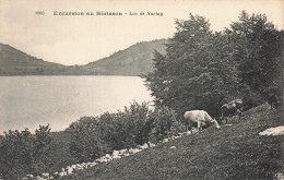 39-LAC DE NARLAY-N°T5318-B/0383 - Sonstige & Ohne Zuordnung