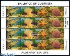 Alderney 1993 WWF, Sea Life M/s, Mint NH, Nature - Shells & Crustaceans - World Wildlife Fund (WWF) - Marine Life