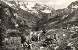 05-LES ALPES-N°T5318-F/0189 - Other & Unclassified