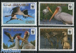 Gambia 2011 WWF, Stork (mycteria Ibis) 4v, Mint NH, Nature - Birds - World Wildlife Fund (WWF) - Gambie (...-1964)