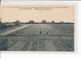 CHATEAUNEUF-sur-CHER : Vue D'une Partie Des Champs De Cultures, Hybridations, Maison H.DEVEAUX - Très Bon état - Chateauneuf Sur Cher