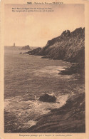 29-POINTE DU RAZ-N°T5319-A/0083 - Other & Unclassified