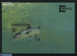 Grenada 1987 Barracuda S/s, Mint NH, Nature - Fish - Fishes