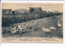 LAMOTTE-BEUVRON: "Les Faisanderies" PH.CHARLOT, Propriétaire, Oies De Toulouse, Cygnes, Canards Sauvages - Très Bon état - Lamotte Beuvron